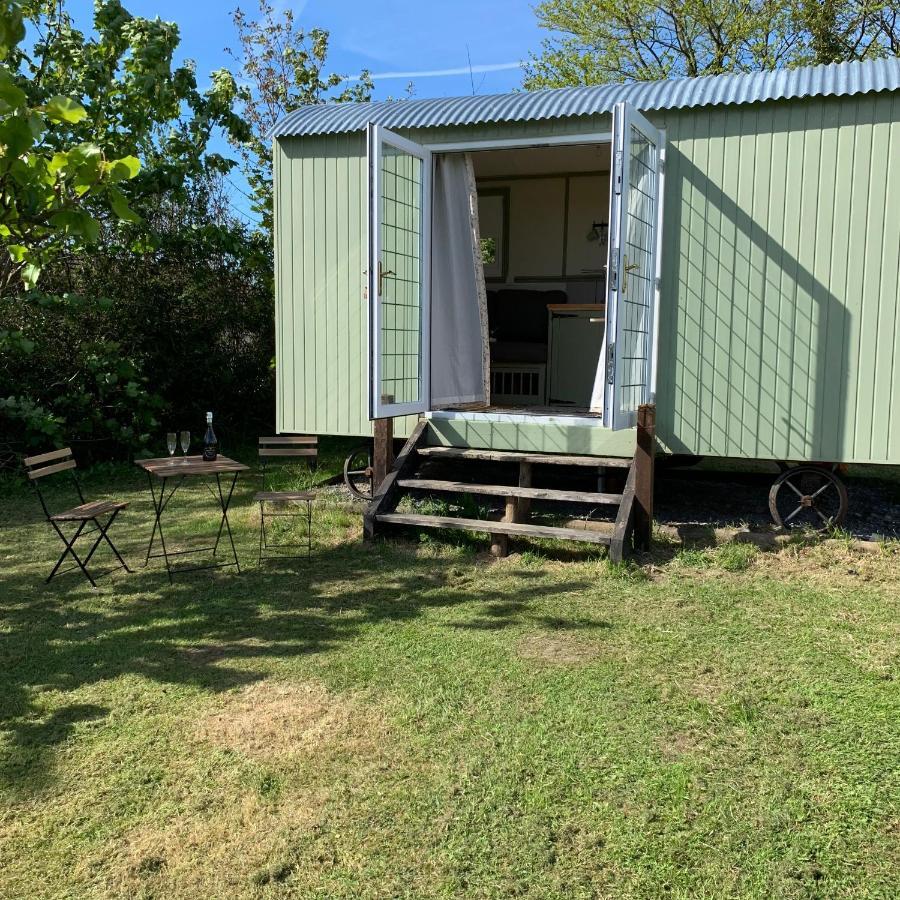 דירות טנבי Hillcrest Hut מראה חיצוני תמונה