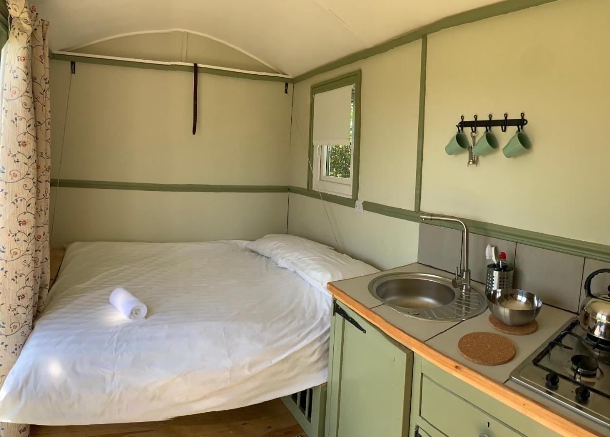 דירות טנבי Hillcrest Hut מראה חיצוני תמונה